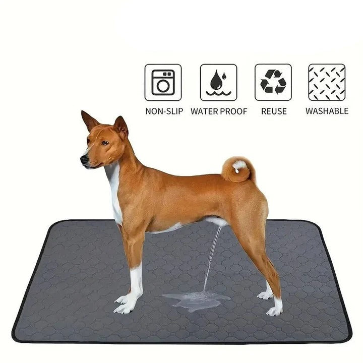 BowLift | Reusable and Disposable Dog Training Pee Pads