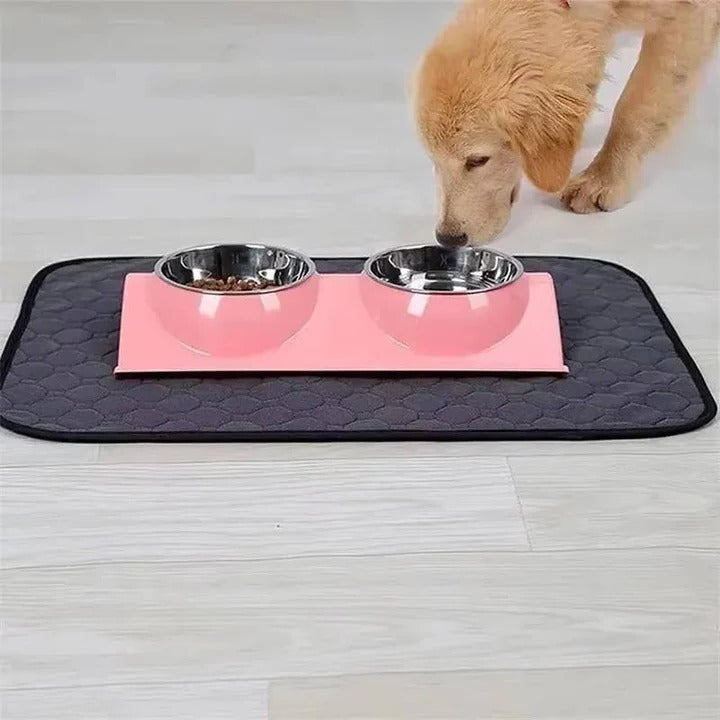 BowLift | Reusable and Disposable Dog Training Pee Pads