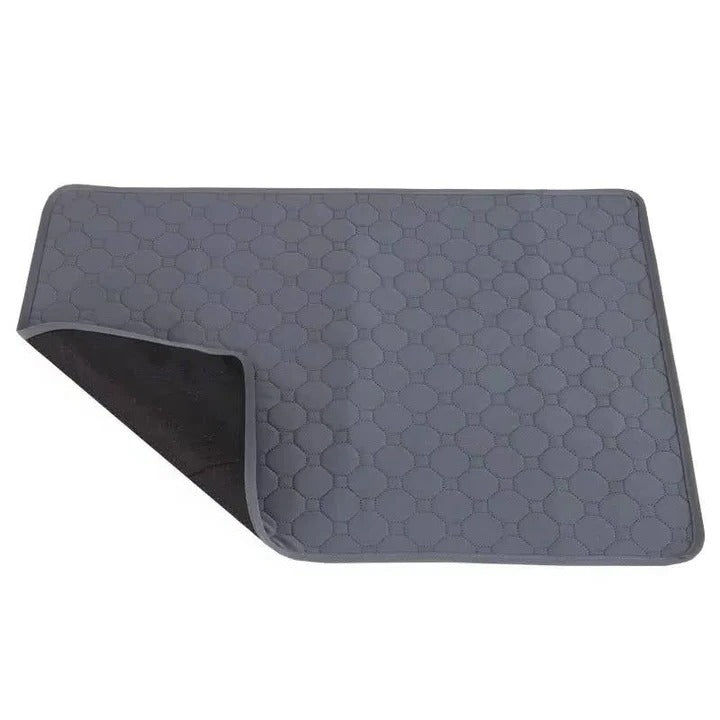 BowLift | Reusable and Disposable Dog Training Pee Pads