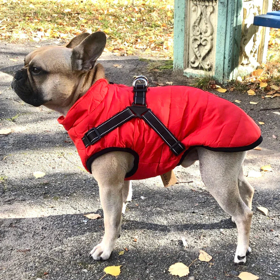 BowLift | Waterproof Dog Jacket with Built-in Harness – Warm, Weather-resistant Dog Jacket for All Breeds