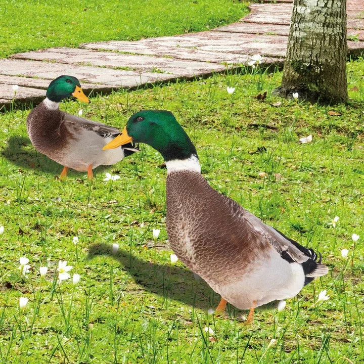 BowLift | Lifelike Duck Sculpture for Garden
