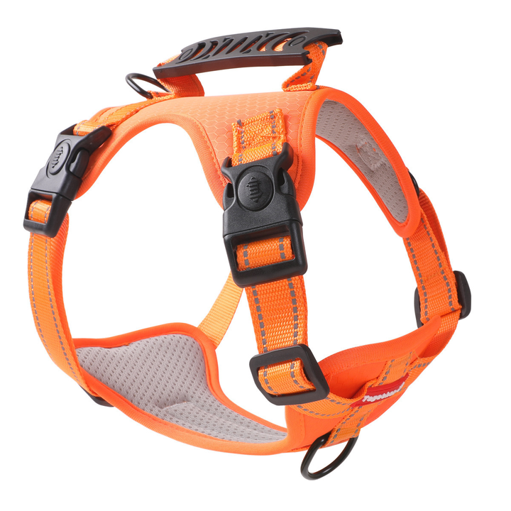 BowLift | TailMate - The comfortable dog harness