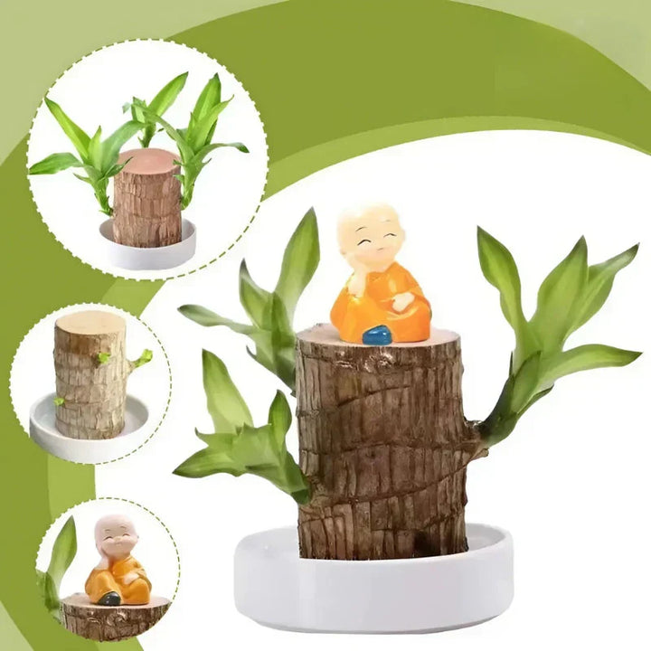 BowLift | LuckyVerdant - Brazilian Wooden Pendant