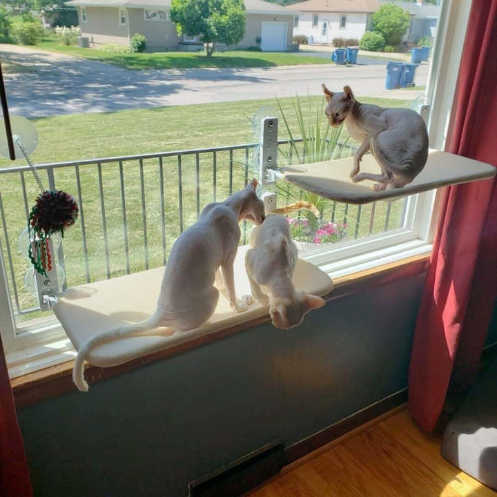 BowLift | Foldable Window Hammock for Cats with View & Comfort