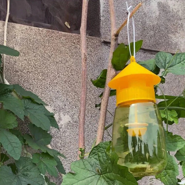 BowLift | Hanging Fruit Fly Trap