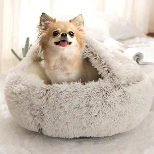 BowLift | FurHaven - My dog loves it