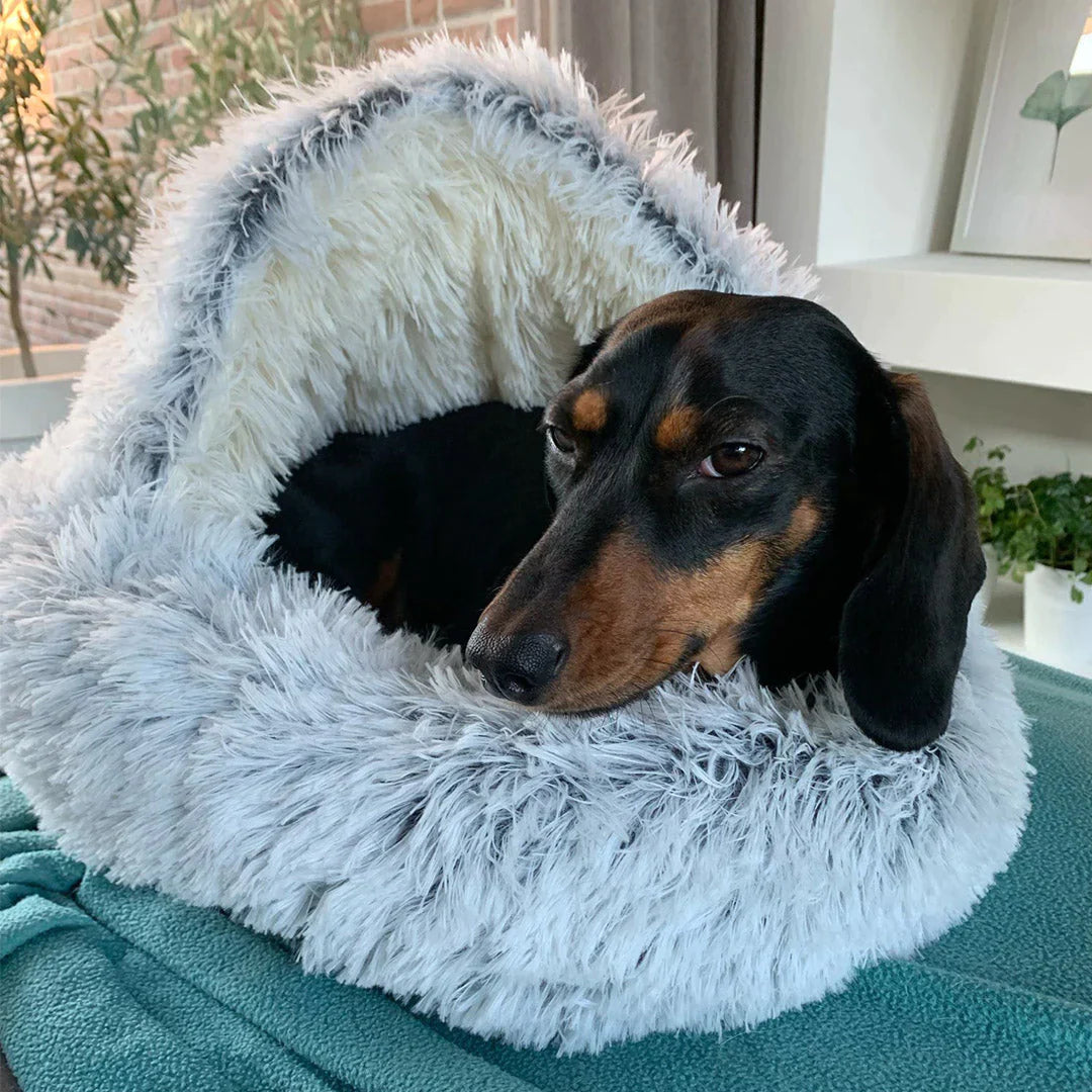 BowLift | FurHaven - My dog loves it