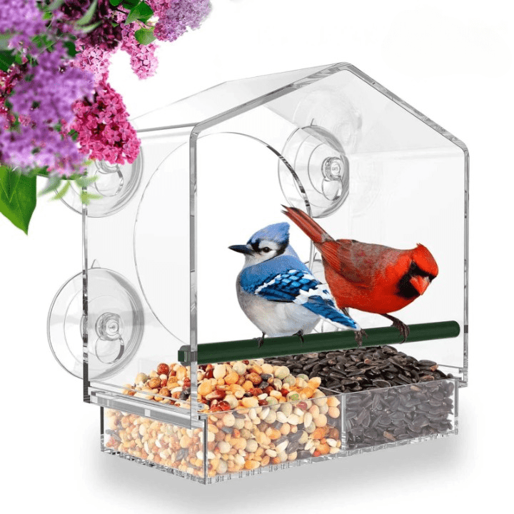 BowLift | FeatherFeast Clear Feeding Delight