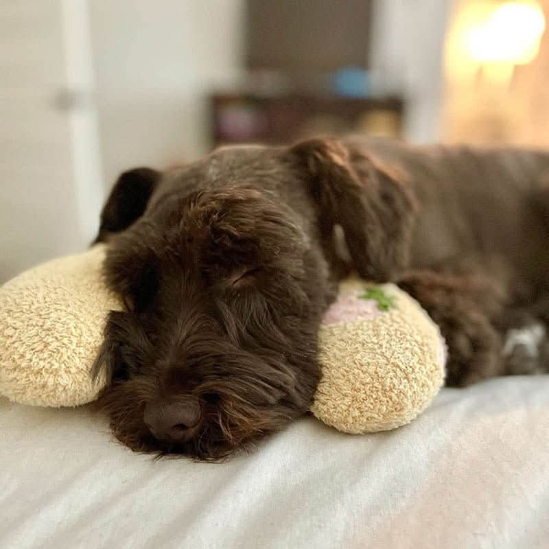 BowLift | PETEASE LUXURY – Orthopedic Dog Bed against Stress & Joint Pain