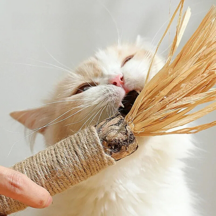 Cat Dental Cleaning Sticks Bowlift