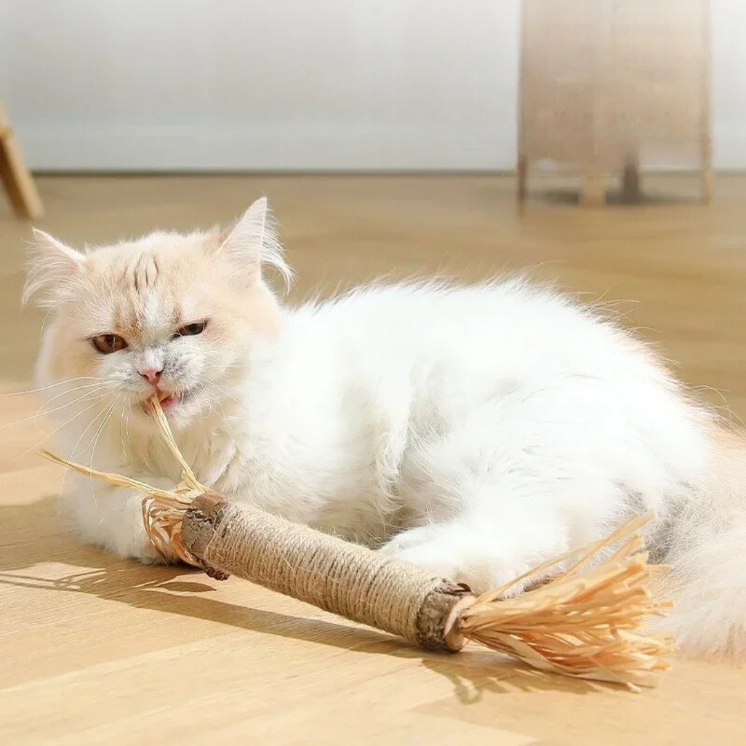 Cat Dental Cleaning Sticks Bowlift