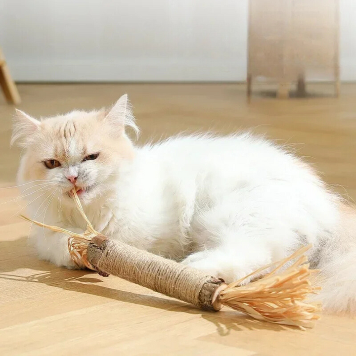 Cat Dental Cleaning Sticks Bowlift