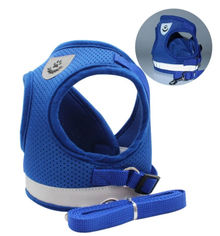 AdventureKit - Safe Harness for Adventurous Cats Bowlift