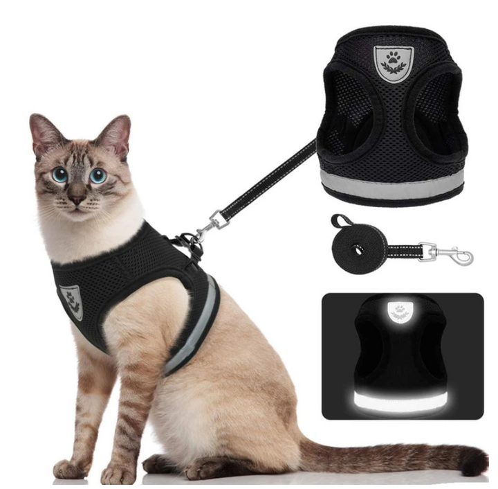 AdventureKit - Safe Harness for Adventurous Cats Bowlift