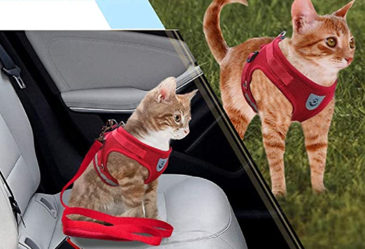 AdventureKit - Safe Harness for Adventurous Cats Bowlift