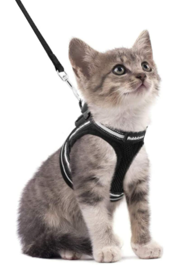 AdventureKit - Safe Harness for Adventurous Cats Bowlift