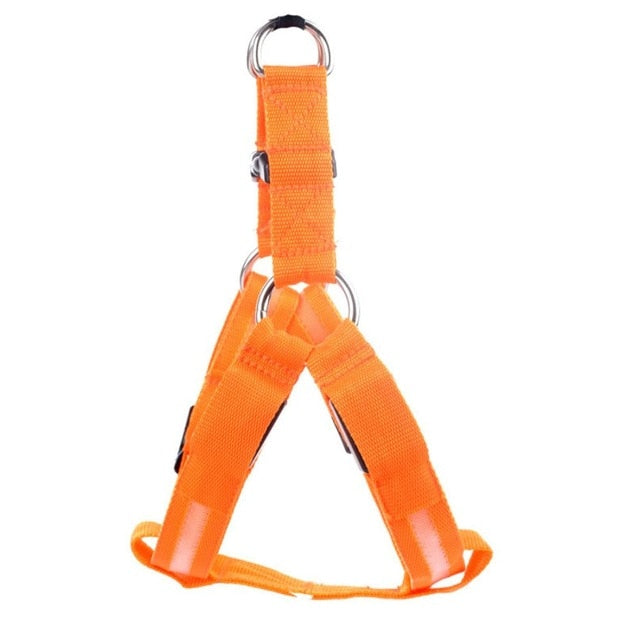 LED Dog Harness - Glow&Go Bowlift