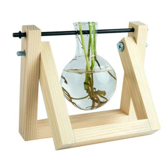 BowLift | Fauna Plants Cuttings Pots | Grow your own plants at home