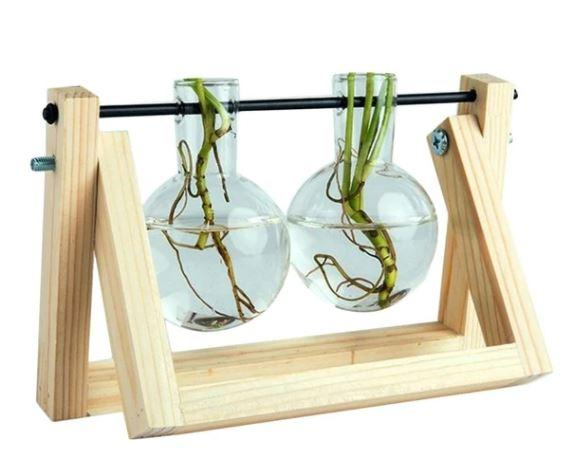 BowLift | Fauna Plants Cuttings Pots | Grow your own plants at home