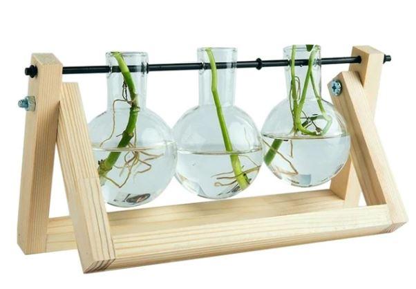 BowLift | Fauna Plants Cuttings Pots | Grow your own plants at home