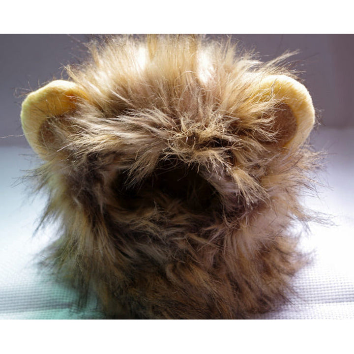 Lion manes for your cat - LionPaws Bowlift