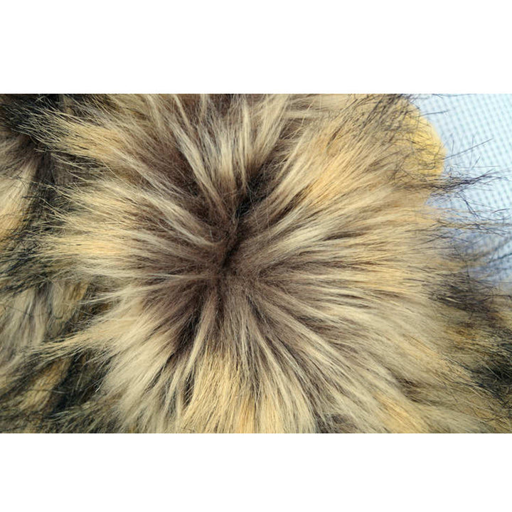 Lion manes for your cat - LionPaws Bowlift