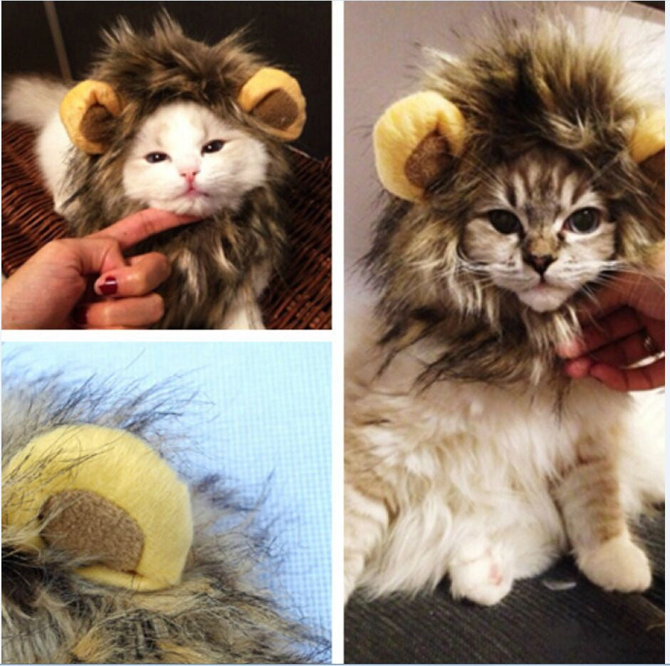 LionPaws Lion Mane for Your Cat Bowlift