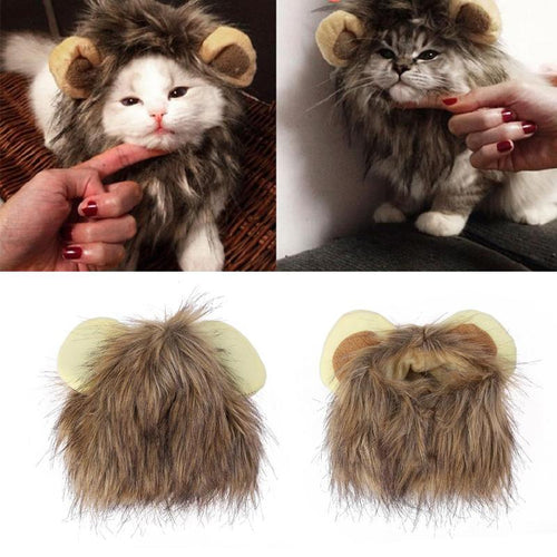 LionPaws Lion Mane for Your Cat Bowlift
