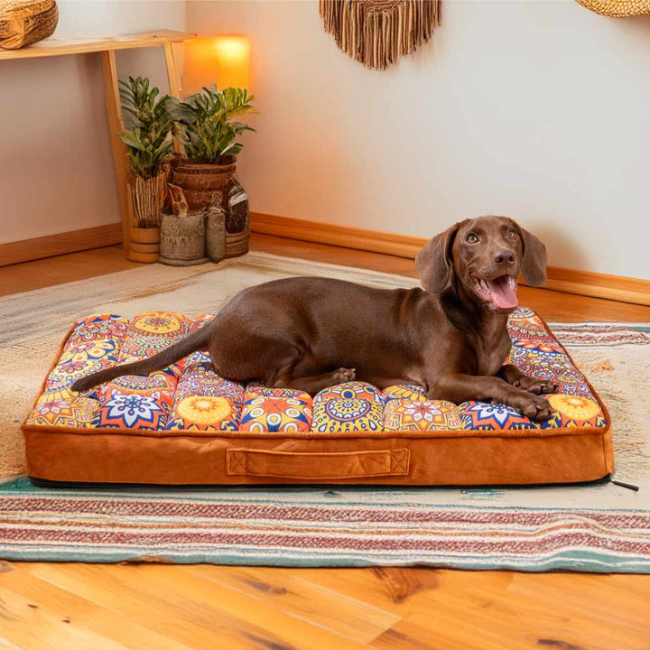 Luxurious Moroccan Style Dog Bed - Casablanca Dream Bowlift