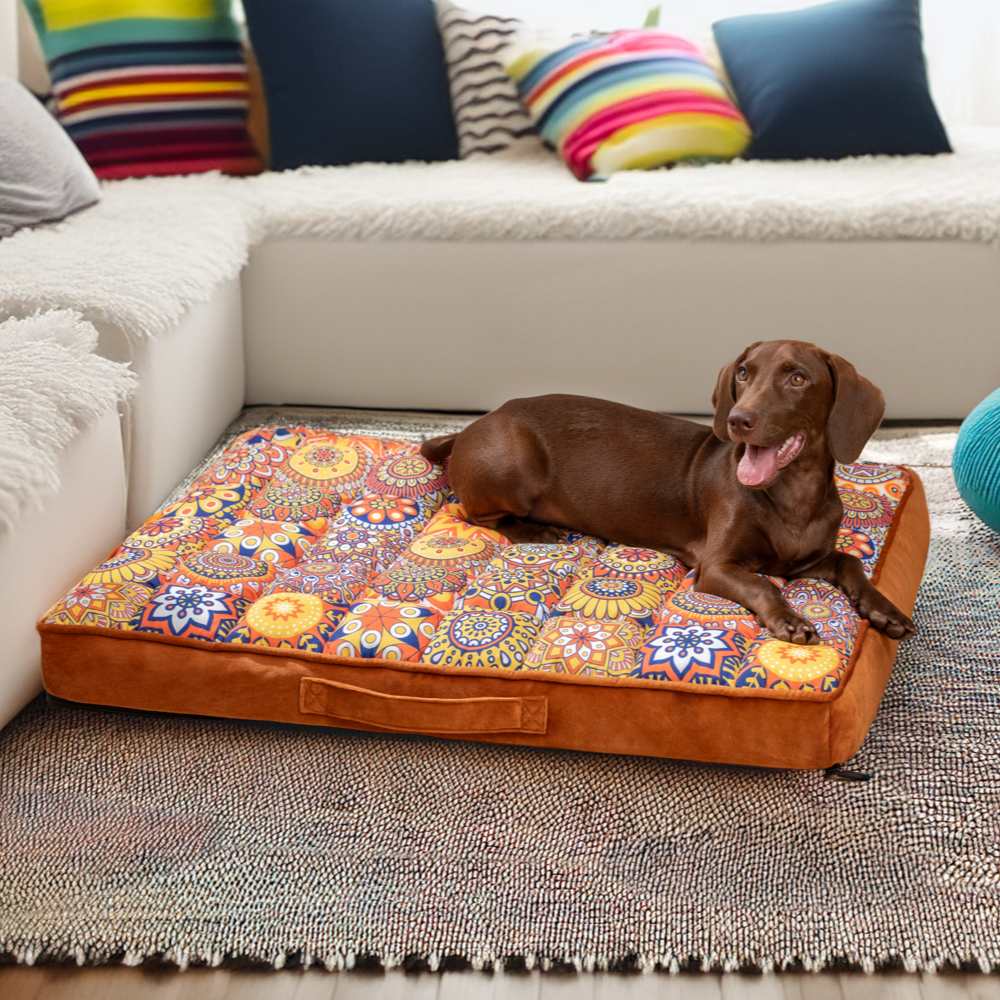 Luxurious Moroccan Style Dog Bed - Casablanca Dream Bowlift