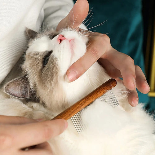 Premium Cat Comb: Stainless Steel Grooming for a Healthy Coat Bowlift