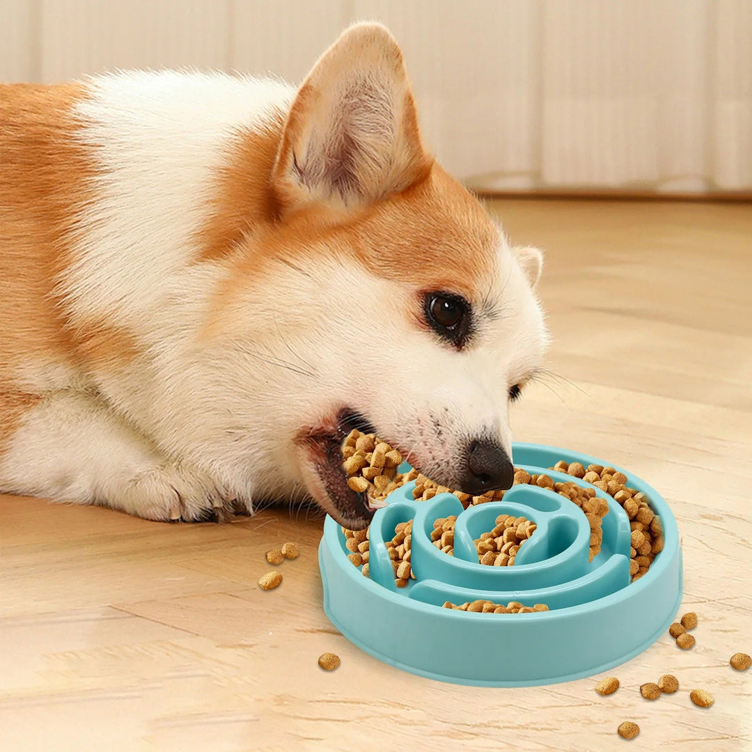 Slow Feed Pet Bowl Bowlift