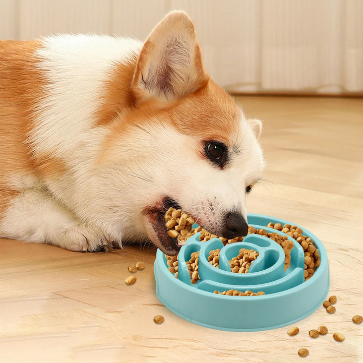 Slow Feed Pet Bowl Bowlift