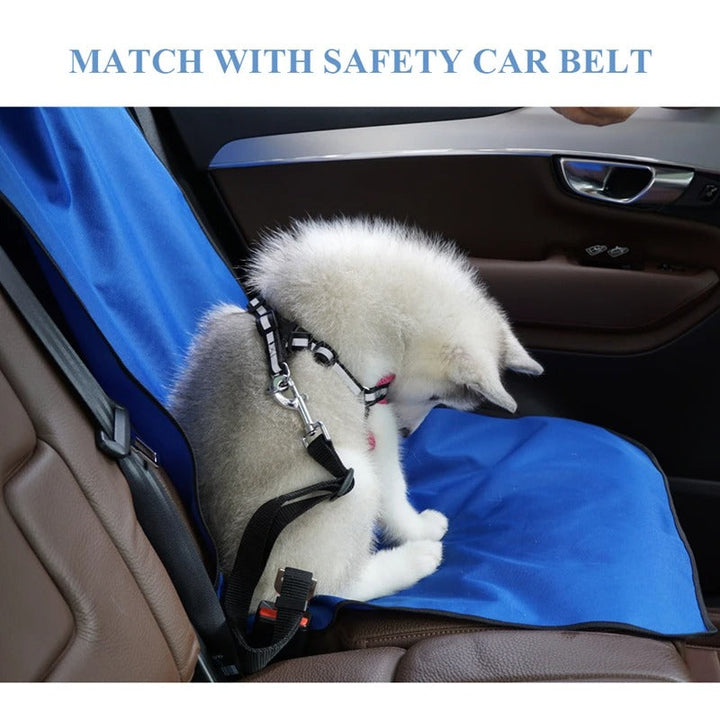 Car Pet Back Seat Cover Bowlift