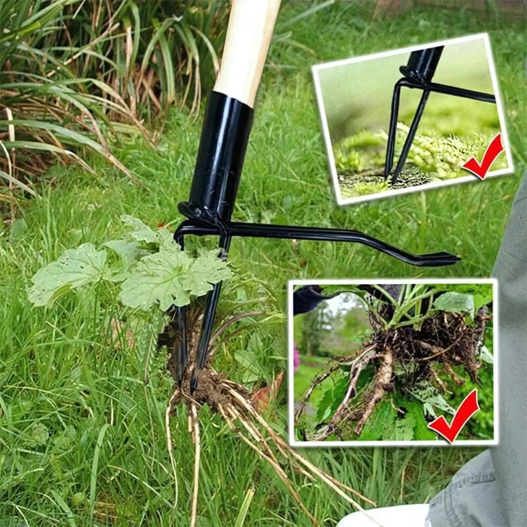 BowLift | Ergonomic Weeding Tool | High-Strength Steel Claws for Effortless Weed Removal in Gardens