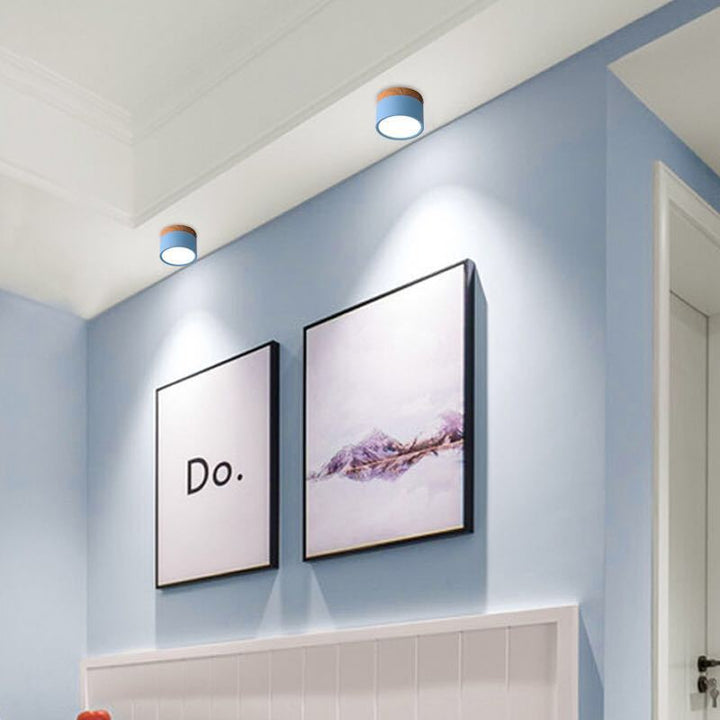 BowLift | Morandi Style Modern LED Ceiling Light - LumiModo