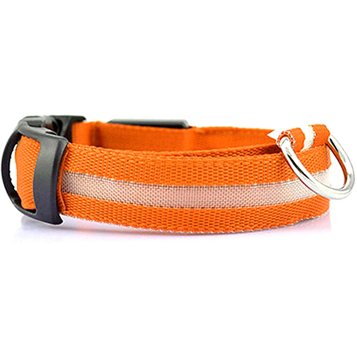 BowLift | Luminous Animal Collar with LED Light – Rechargeable, Waterproof, Adjustable Fit for Enhanced Safety at Night