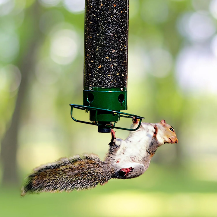 BowLift | Metal Hanging Squirrel-Proof Bird Feeder for Gardens