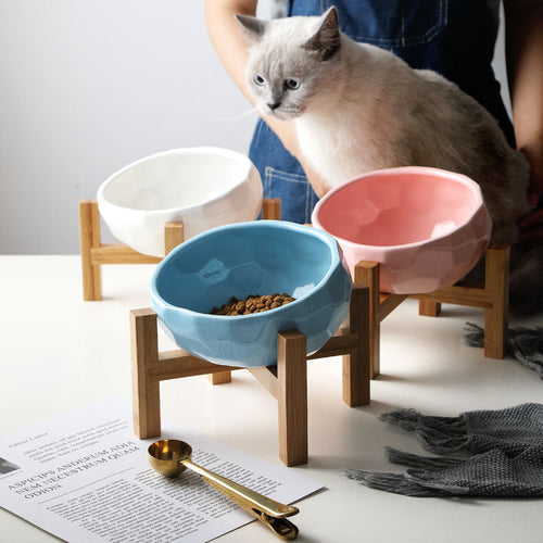 Ergonomic Elevated Pet Food Bowl Bowlift