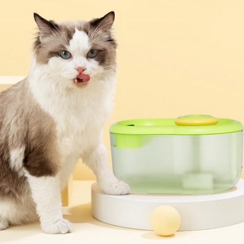 Pet Water Drinking Bowl with Pump - FunFlow Bowlift