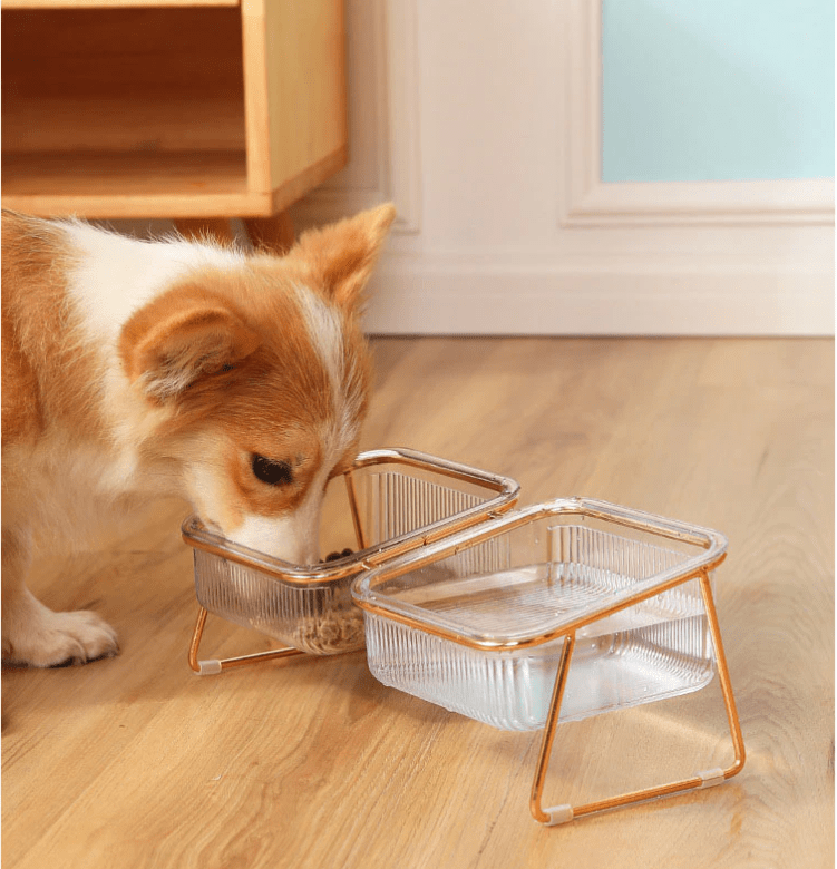 BowLift | PETCHIC Bowl – Elevated Feeding Bowl for Cats & Small Dogs