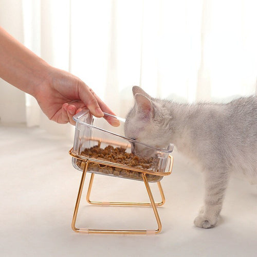 BowLift | PETCHIC Bowl – Elevated Feeding Bowl for Cats & Small Dogs