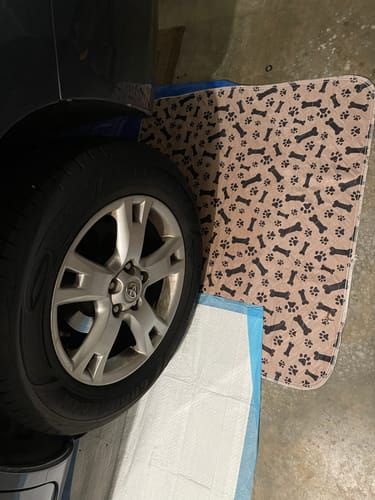 PetPaws Comfort Mat – Leak-Free Pet Mat Bowlift