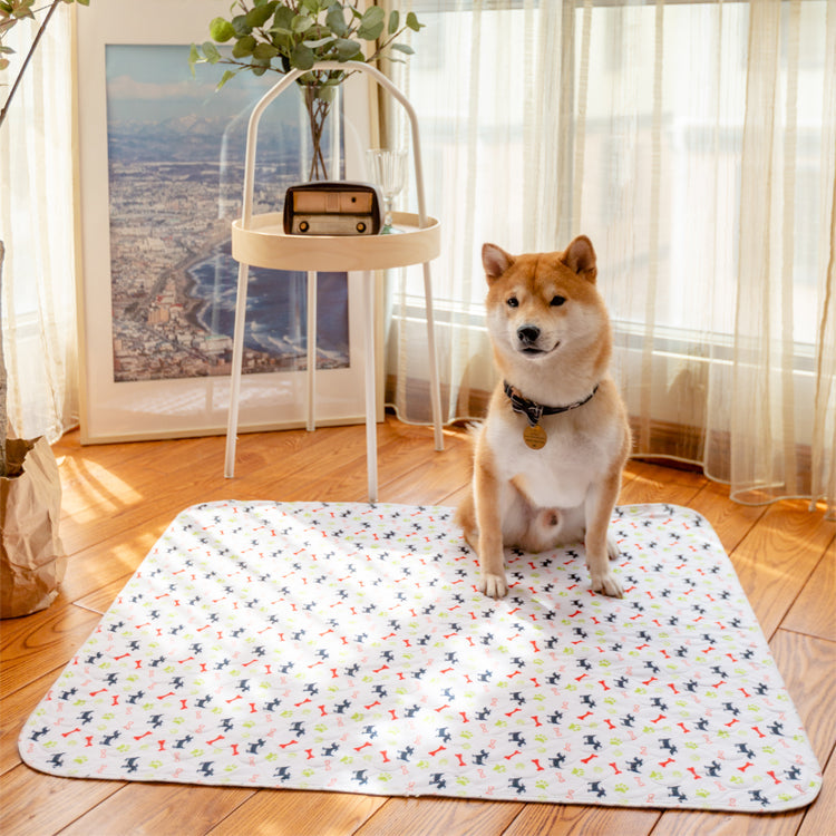 PetPaws Comfort Mat – Leak-Free Pet Mat Bowlift