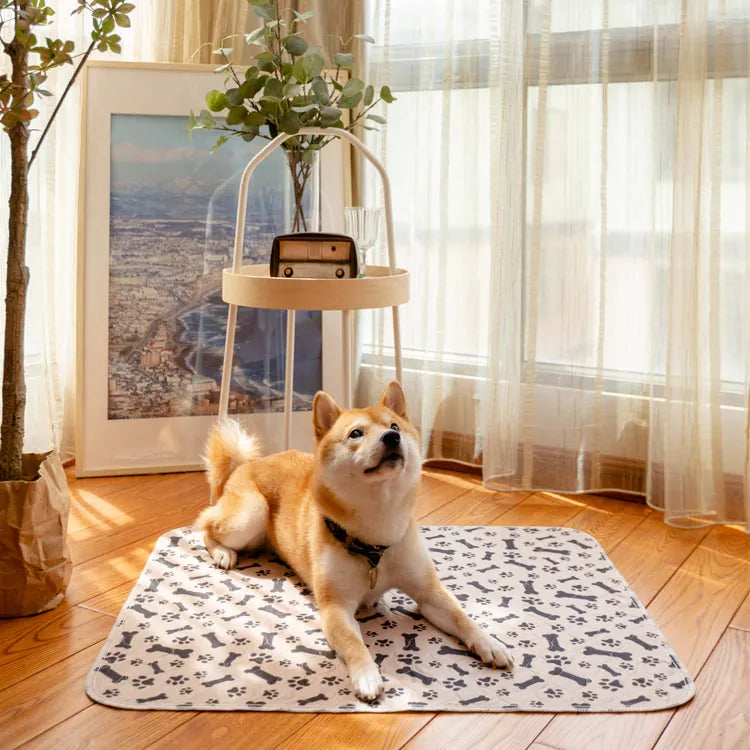 PetPaws Comfort Mat – Leak-Free Pet Mat Bowlift