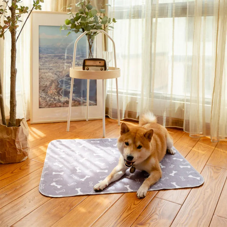 PetPaws Comfort Mat – Leak-Free Pet Mat Bowlift