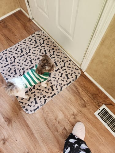 PetPaws Comfort Mat – Leak-Free Pet Mat Bowlift