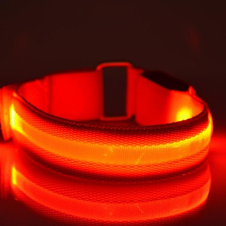 LightUp - Glowing LED Sport Band | Bowlift