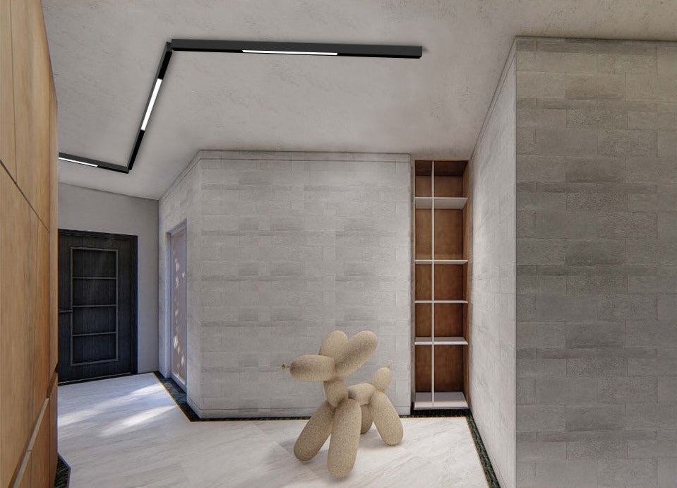 BowLift | Wall-Mounted Black Continuous Magnetic Track System Light