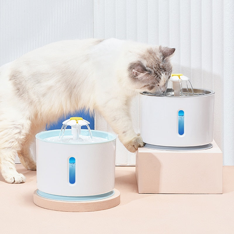 BowLift | AquaFlow – Fresh, clean water for your pet!